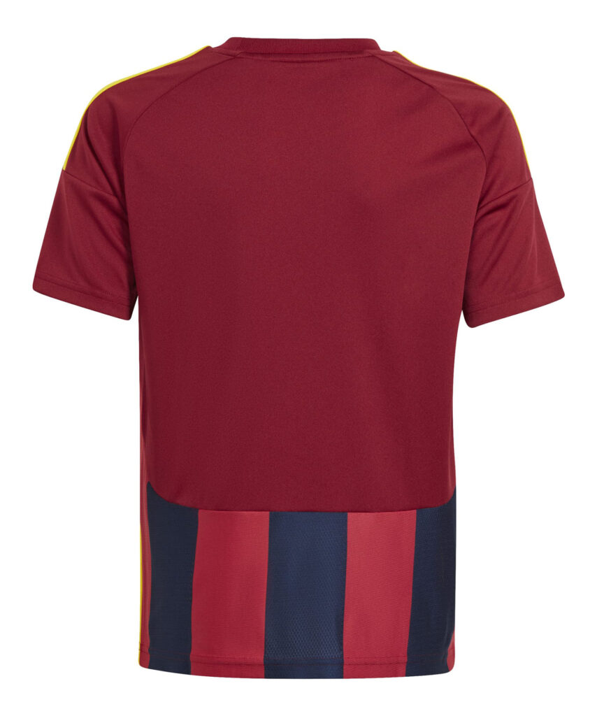 Koszulka adidas Junior Striped 24 IW2139