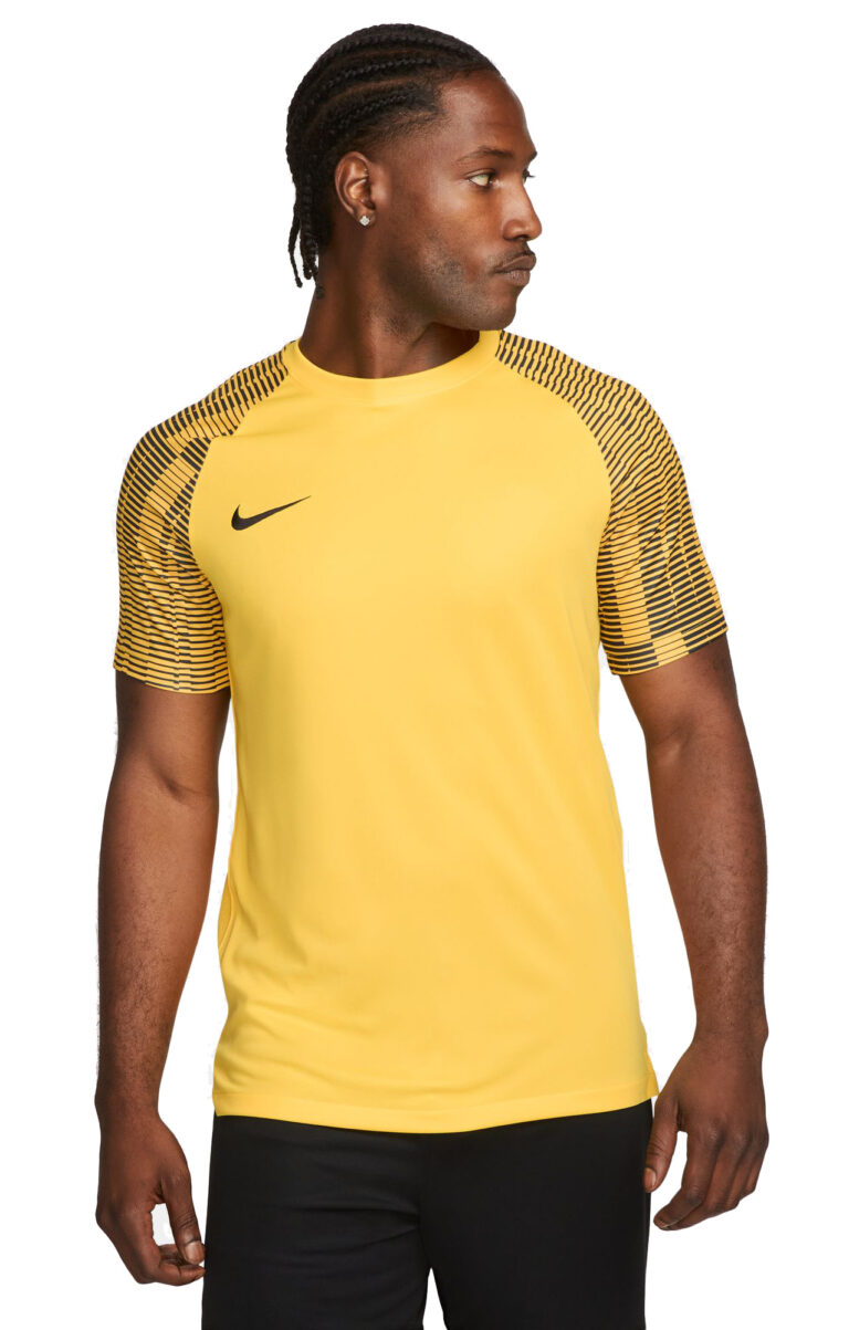 Koszulka Nike Dri-FIT Academy DH8031-719