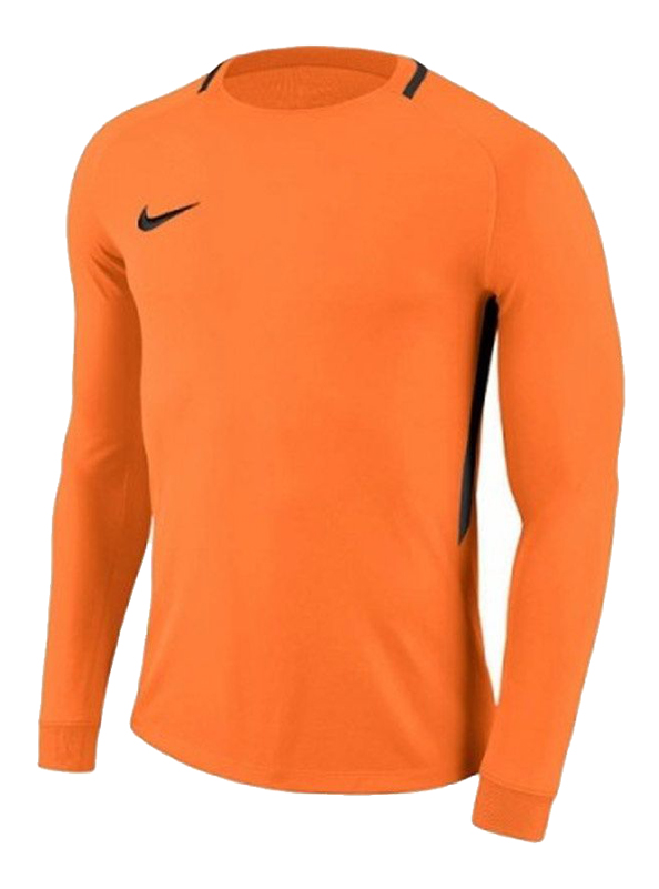 Bluza bramkarska Nike Junior Park Goalie III 894516-803