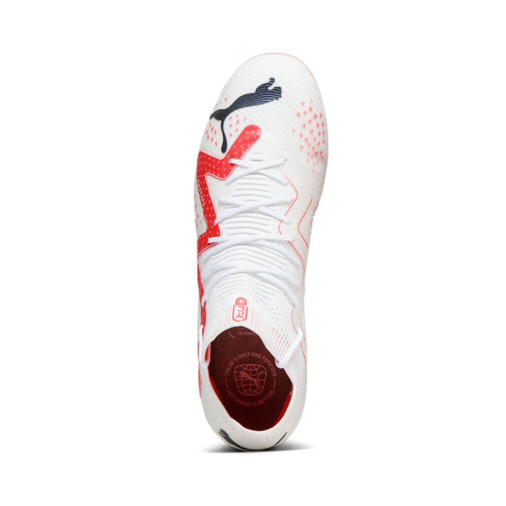 Buty Puma Future Ultimate FG/AG 107355-01