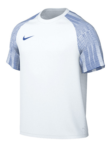 Koszulka Nike Dri-Fit Academy SS DH8031-102