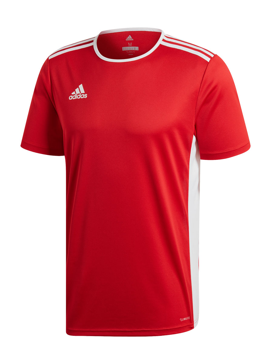 Koszulka adidas Entrada 18 CF1038