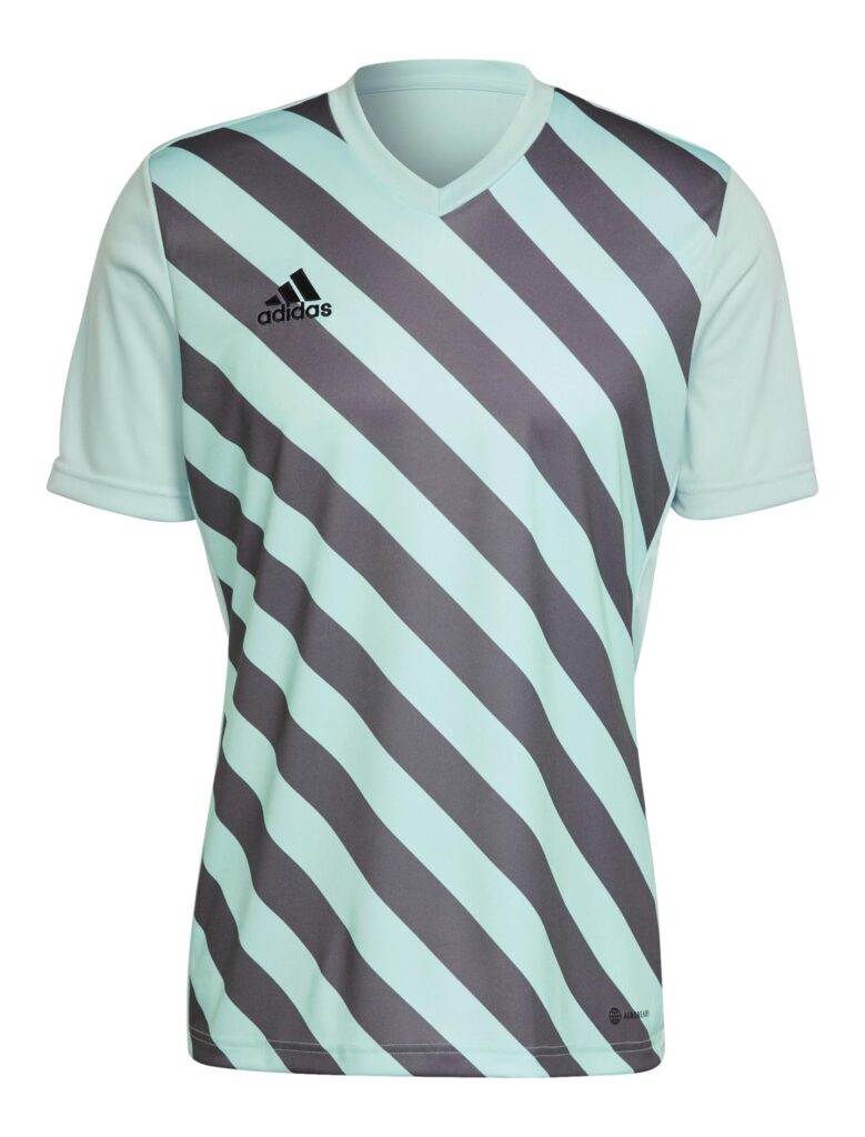 Koszulka adidas Entrada 22 GFX HF0119
