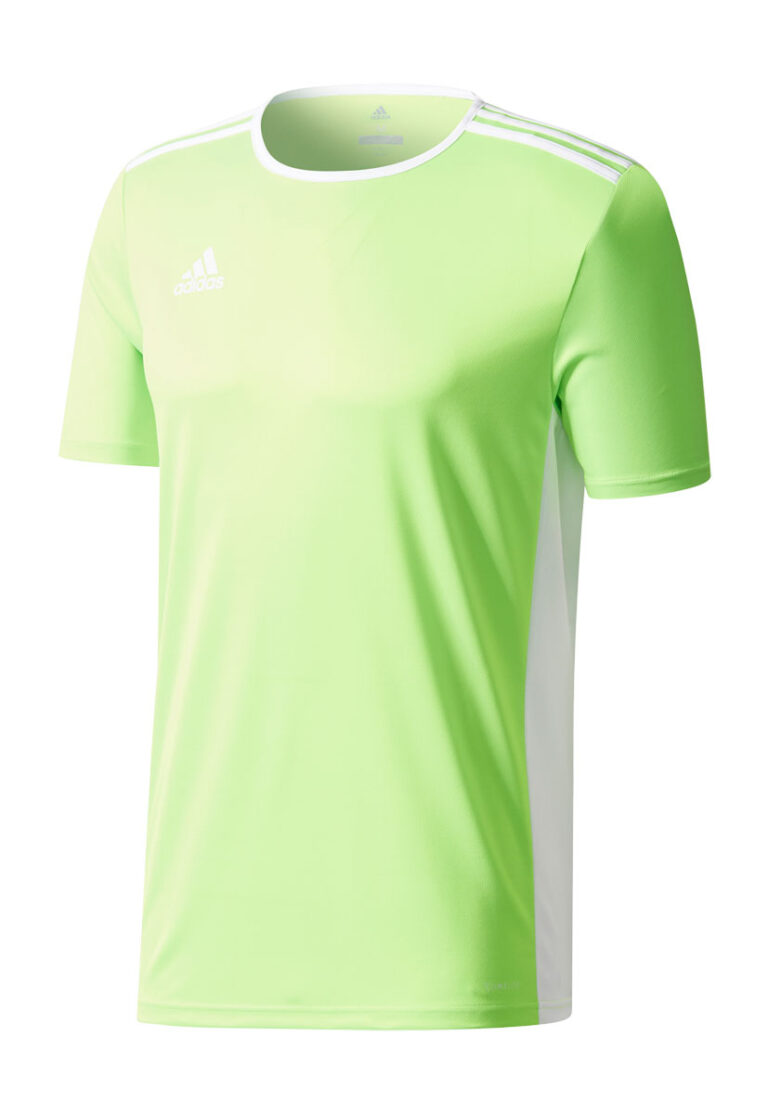 Koszulka adidas Junior Entrada 18 CE9758