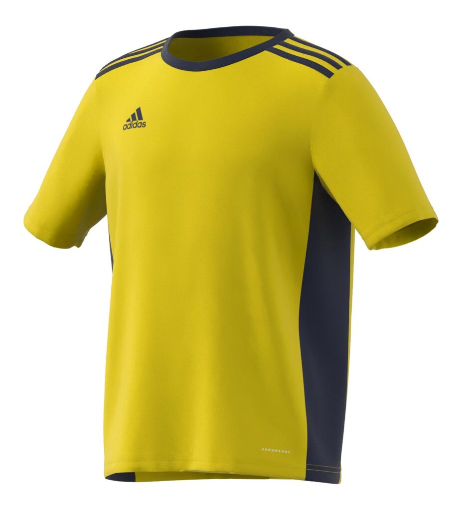 Koszulka adidas Junior Entrada 18 GT6834