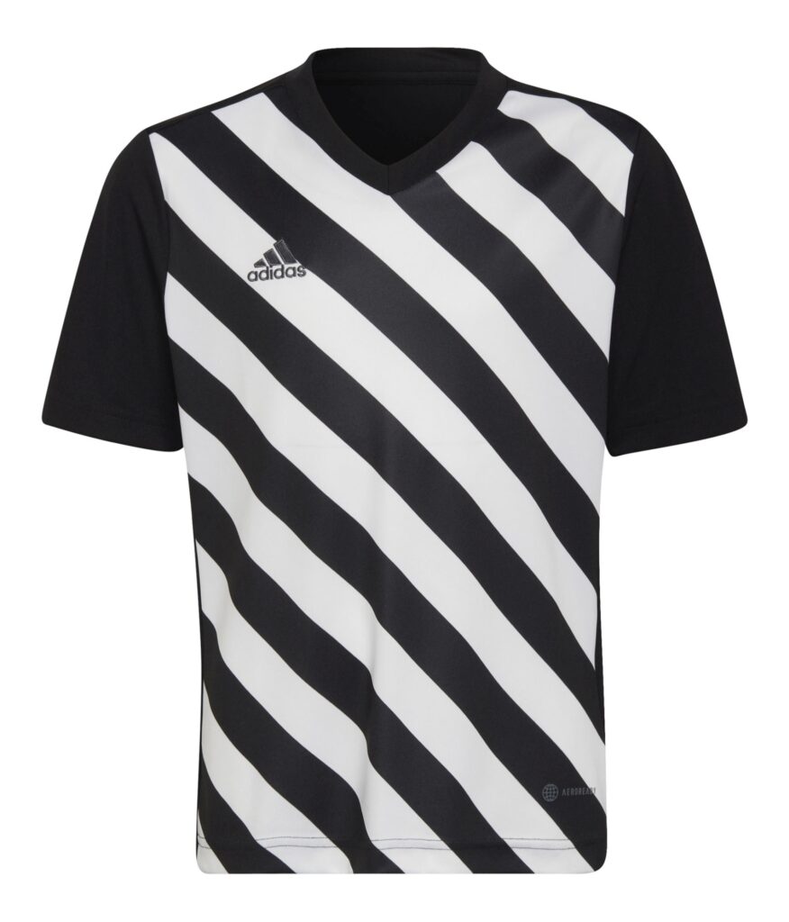 Koszulka adidas Junior Entrada 22 GFX HF0123