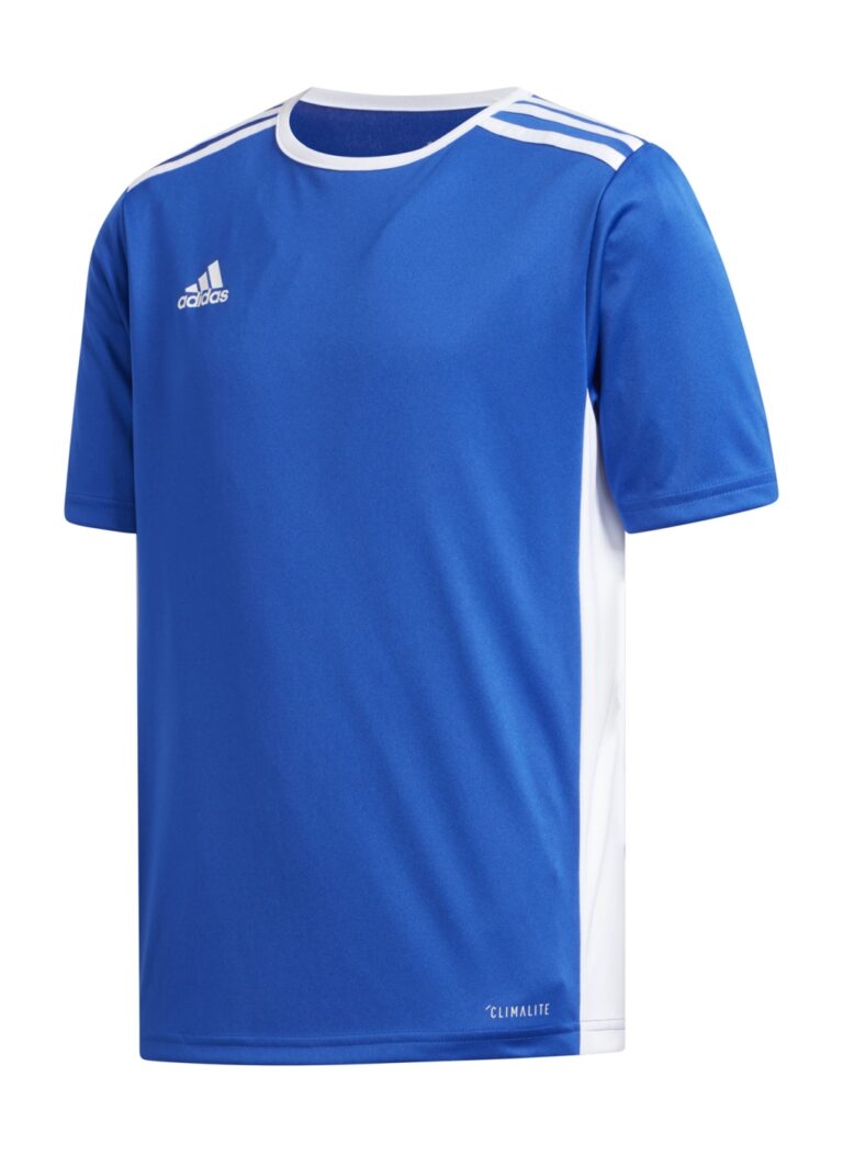 Koszulka adidas Junior Entrada CF1049