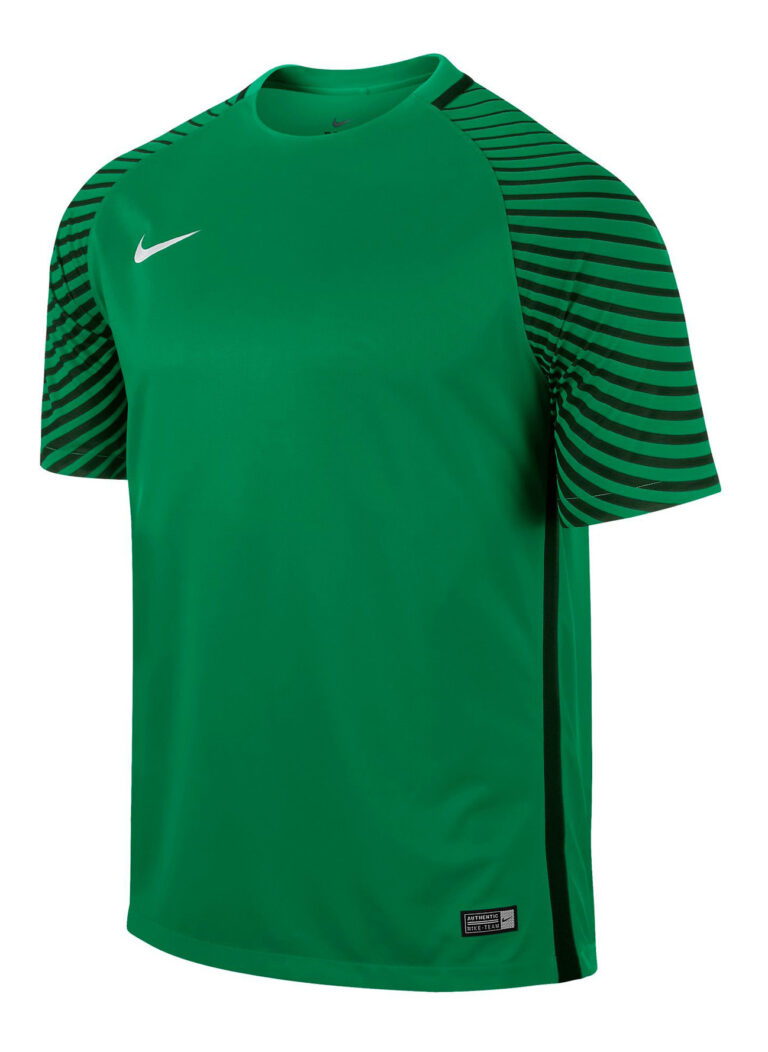 Koszulka bramkarska Nike Gardien 725889-319