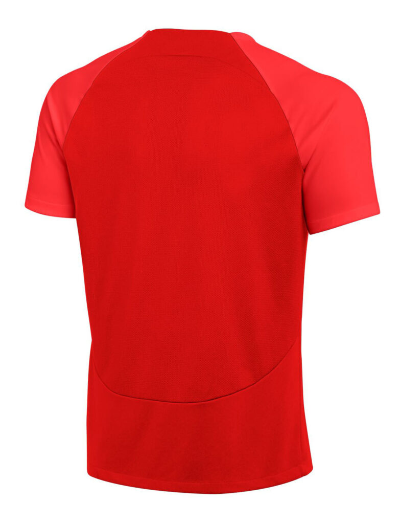 Koszulka treningowa Nike Dri-Fit Academy Pro DH9225-657
