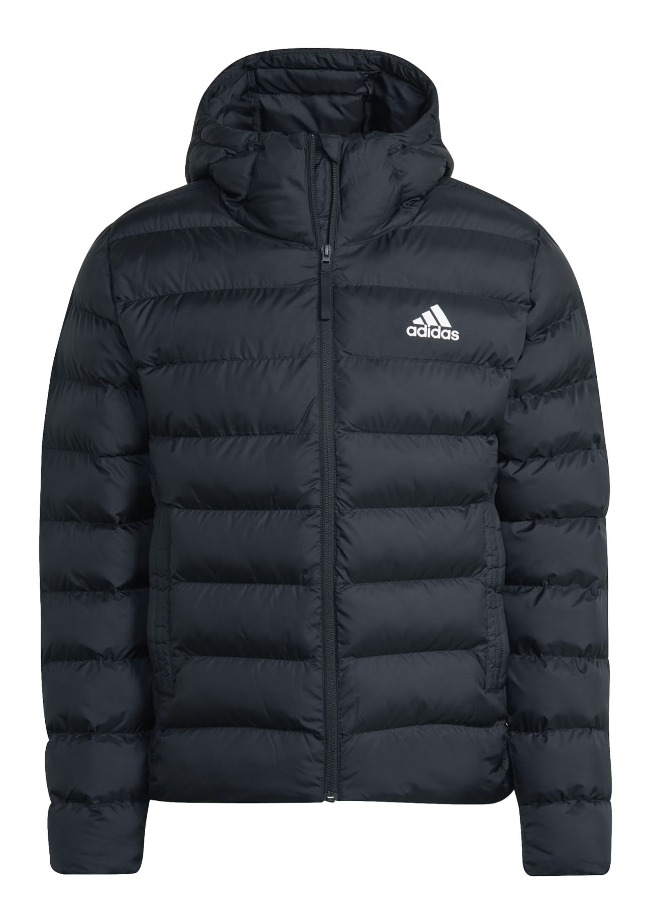 Kurtka adidas Intersport SDP HI0940