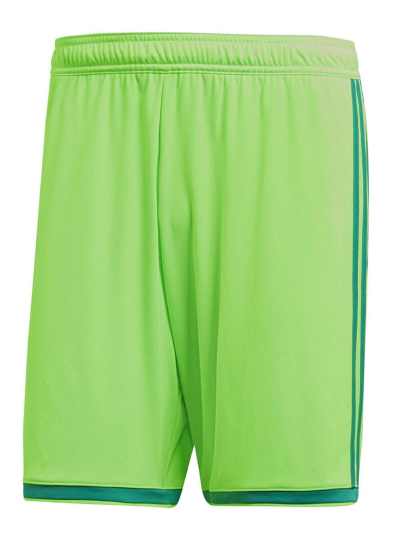 Spodenki adidas Junior Regista 18 CF9598