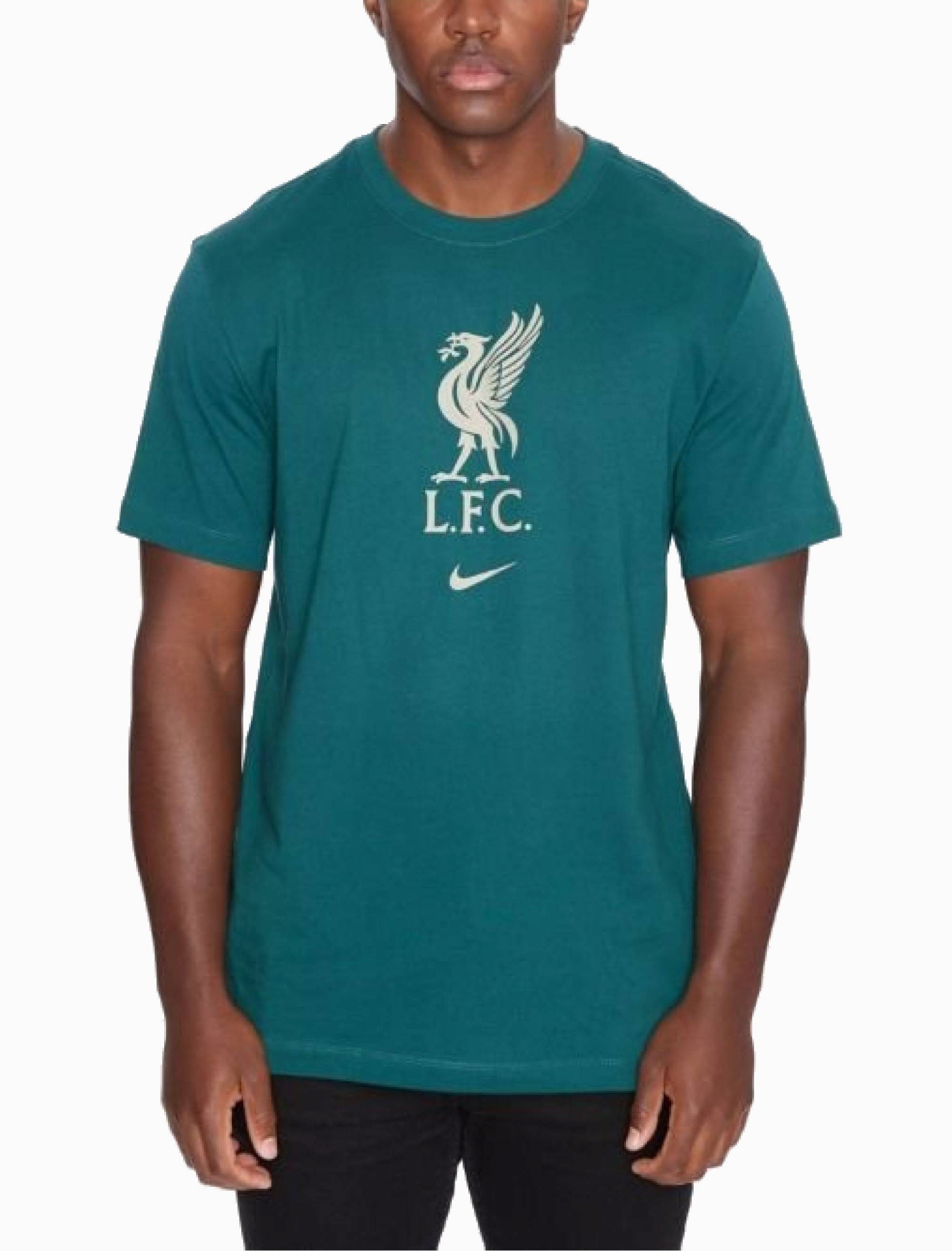 T-shirt Nike Liverpool FC Crest DM3482-375
