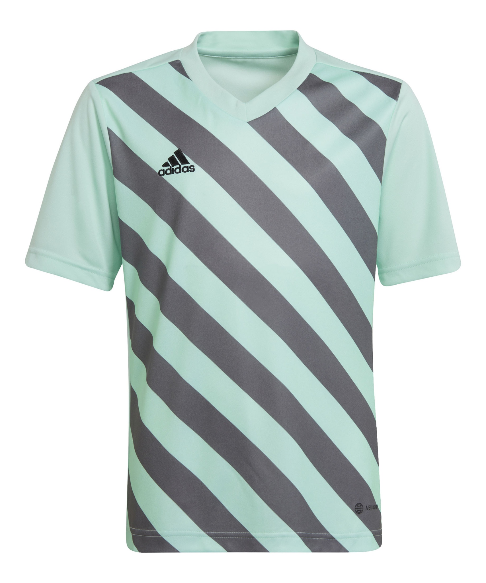 Koszulka adidas Junior Entrada 22 GFX HF0127