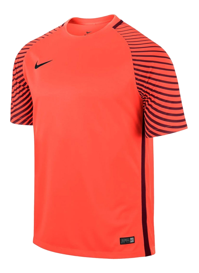 Koszulka bramkarska Nike Gardien 725889-671