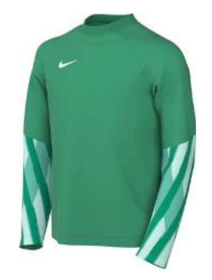 Koszulka bramkarska Nike Junior Dri-FIT Park V HV8318-324