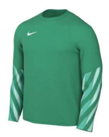 Koszulka z długim rękawem Nike Dri-FIT Park V HV8314-324